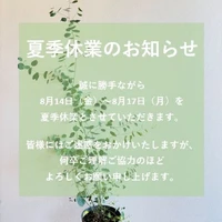画像259