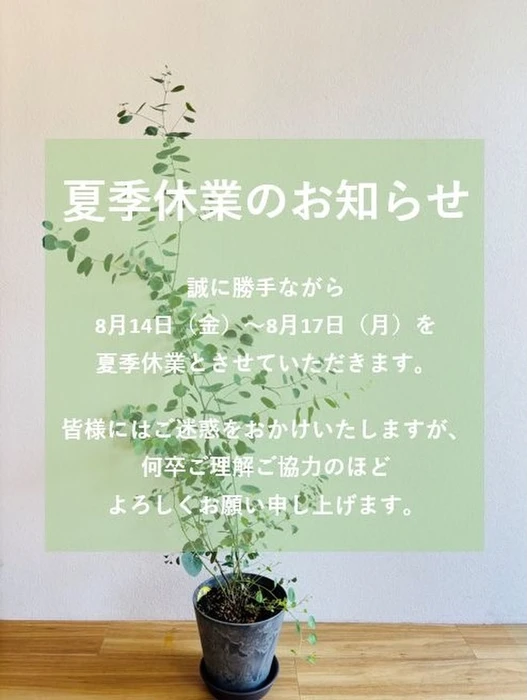 画像259