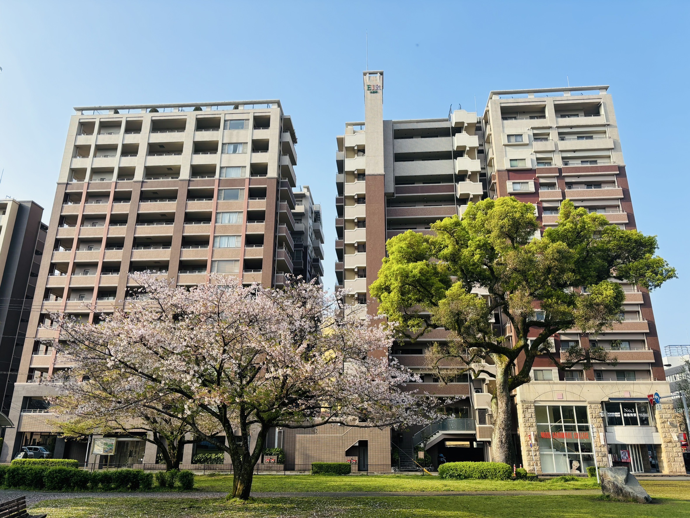 熊本市中央区水道町の特徴と不動産売却戦略