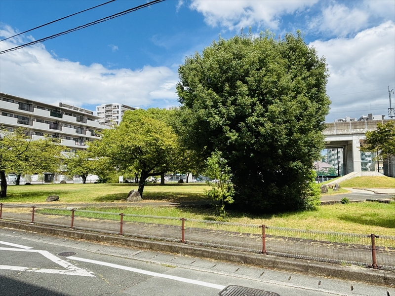 住宅ローンの基本と戦略
